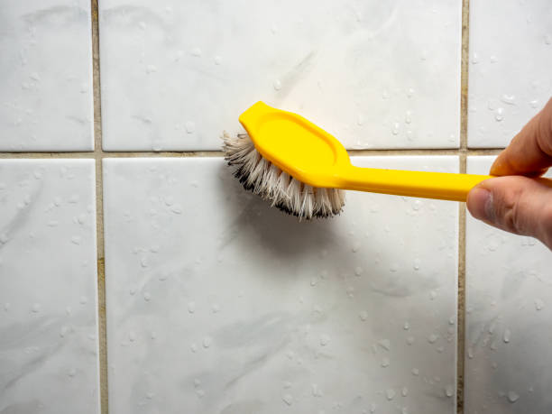 Best Post-Remediation Services in Melville, RI
